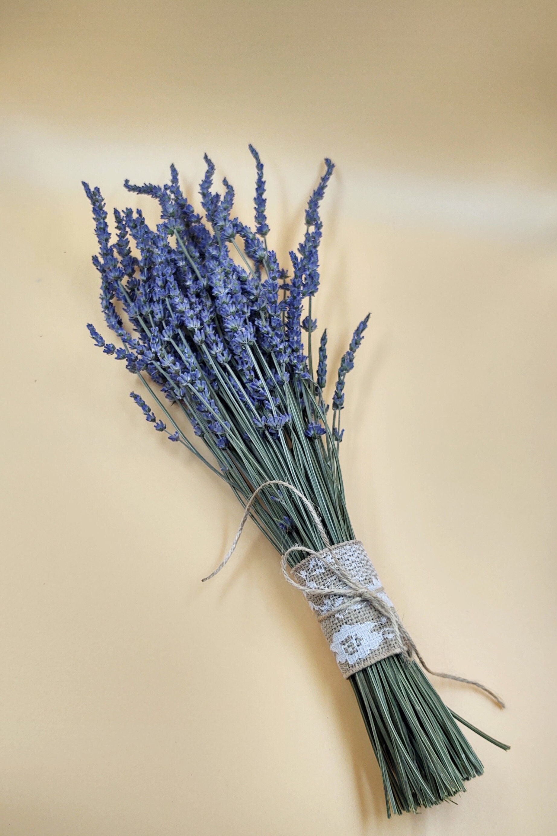 Bouquet of dry lavender flowers Stock Photo by ©Anegada 216766386