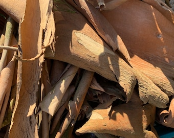 Eucalyptus bark