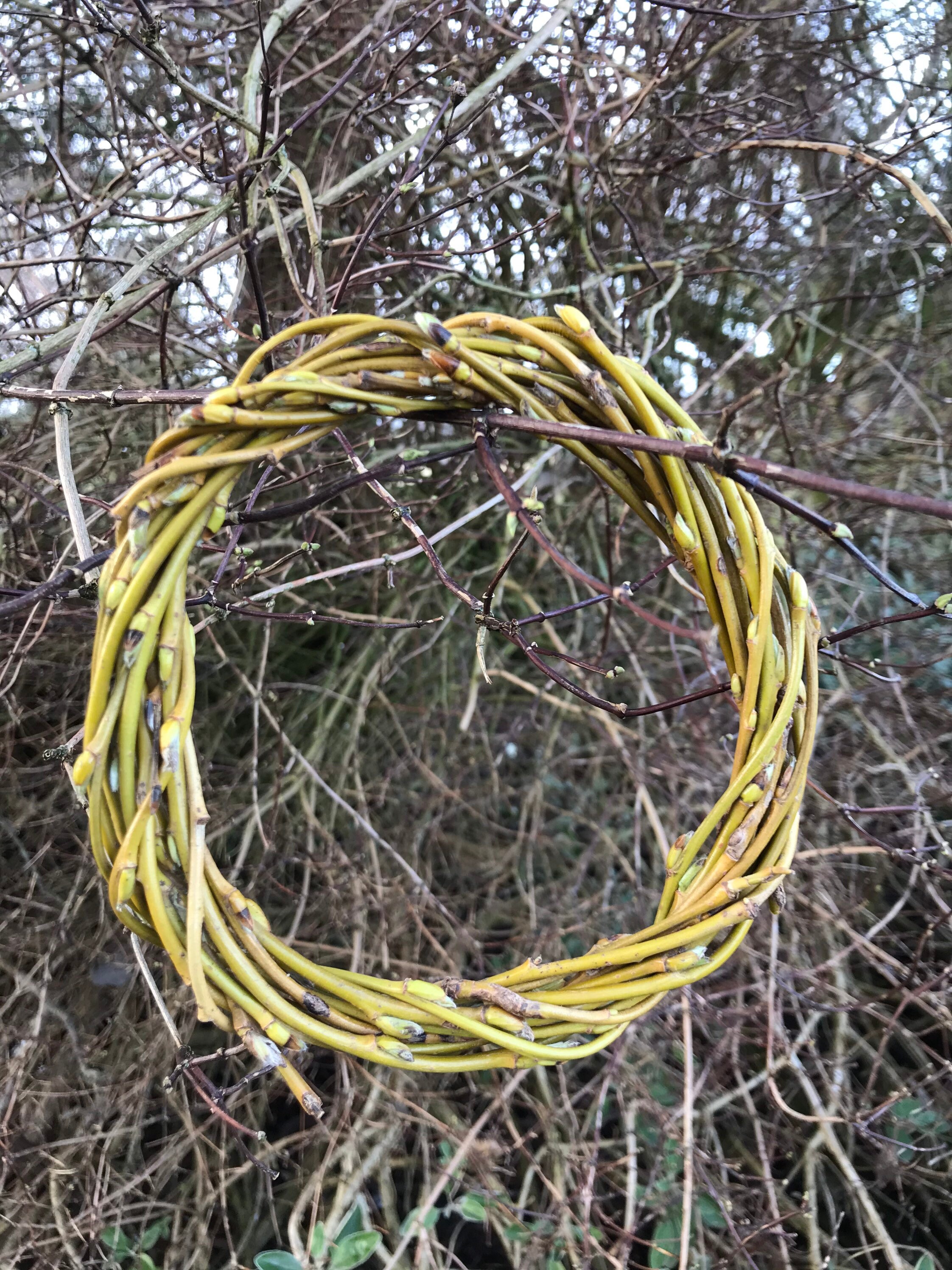 Willow wreaths Etsy