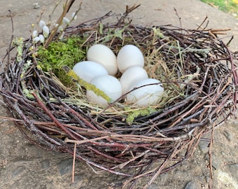 Easter birds nest