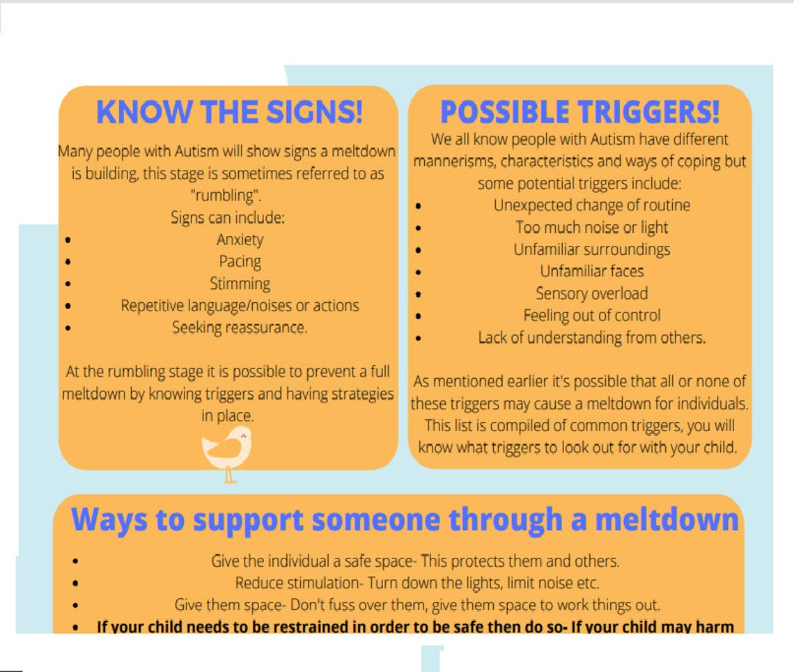 Meltdown Management Printable Autism Sensory Disability Etsy