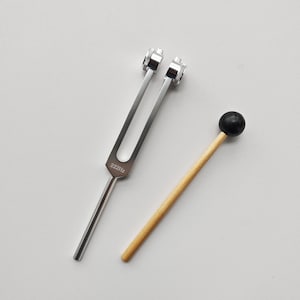 May include: A silver tuning fork with a black rubber mallet. The tuning fork is labelled "222Hz".