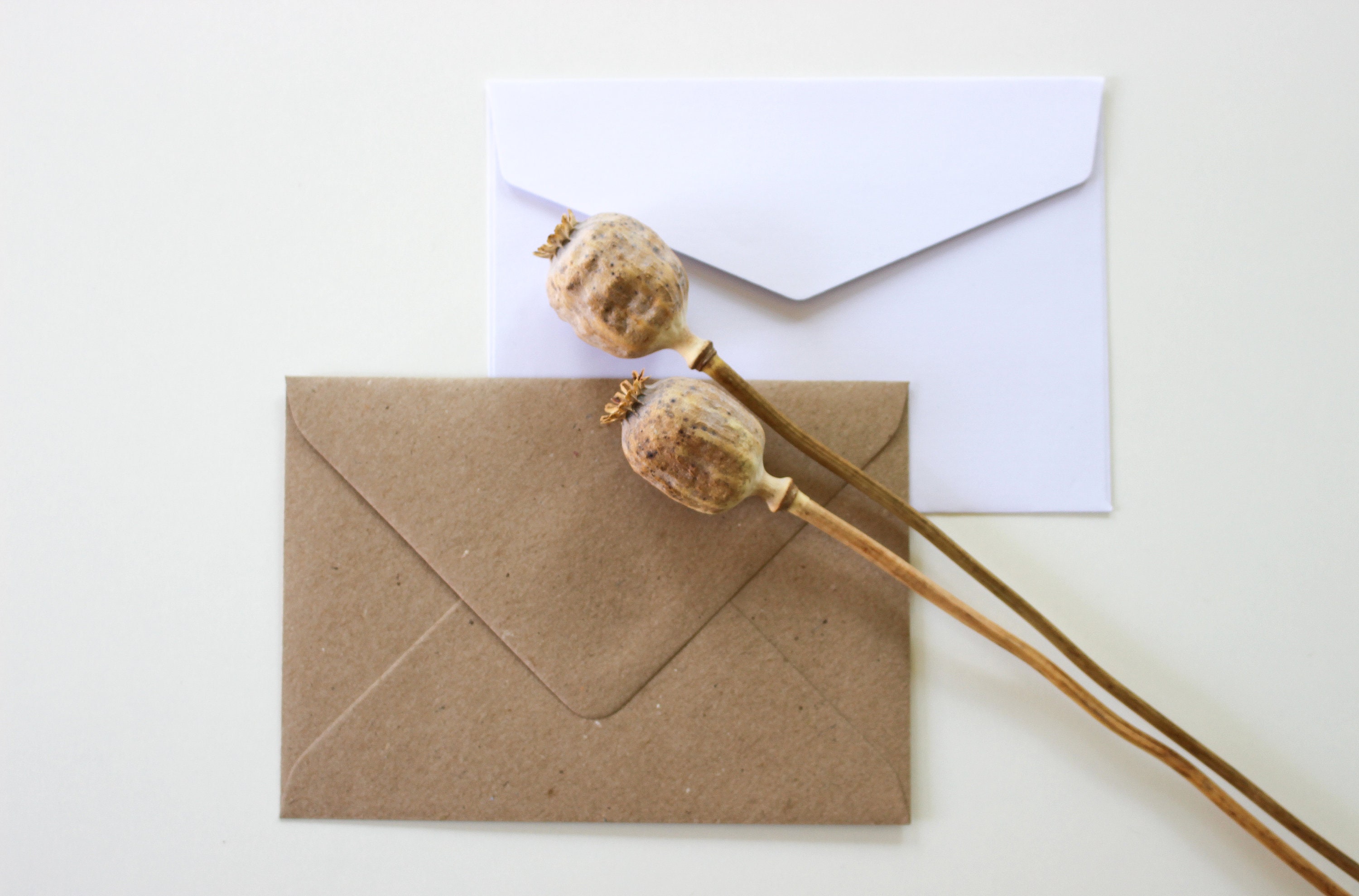 Second level master degree italy picture