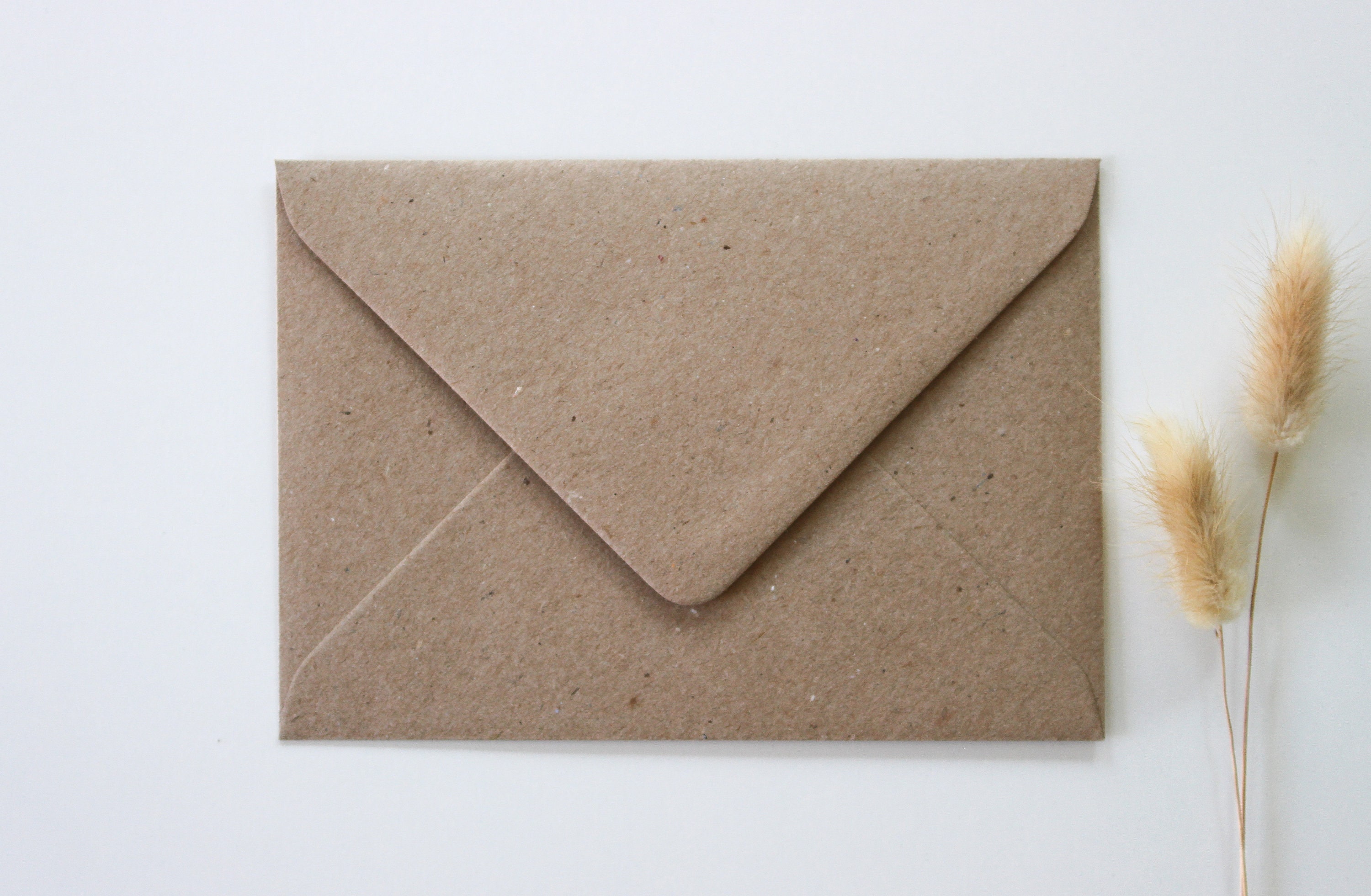 First level master degree meaning picture