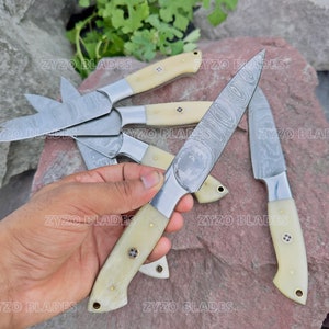 Steak Knife Set 6 Pcs Custom Handmade Damascus Steel BBQ Grilling knives - Bone Handle image 9