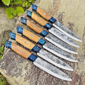 Handmade Damascus Steel Steak Knife Set: PKKA Wood Handle, BBQ Knives, Set of 6