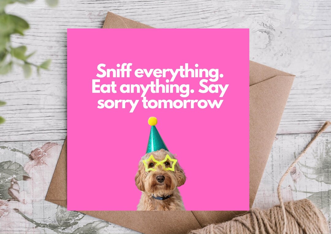 Funny Birthday Card – Birthday Card / Funny Boozy Dog Advice / Dog ...