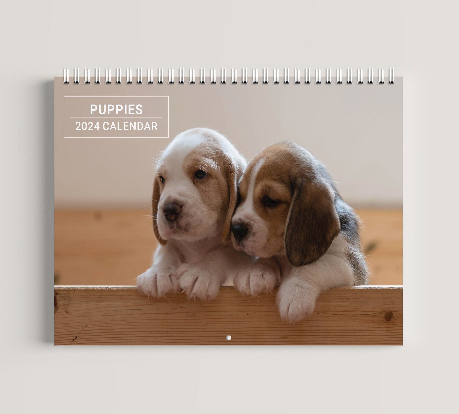 Beagle Calendar 2025 Lok cammy wilmette
