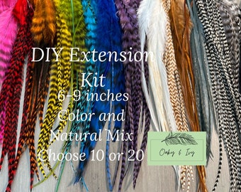 May include: A variety of colorful and natural feather extensions for DIY projects. The feathers are 6-9 inches long and come in a mix of colors and natural shades. Choose 10 or 20 feathers for your project. DIY Extension Kit 6-9 inches Color and Natural Mix Choose 10 or 20 Oaky & Ivy