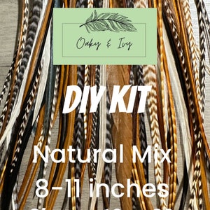 Feather Hair Extensions - 10-20 real feathers + beads and tool, 8-11 in. long, Natural mix hair feather extensions, DIY kit, hair feathers