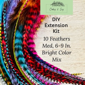 Feather Hair Extensions - 10 Real Hair feathers + beads and tool, Medium/6-9 inches long, Bright Color Mix, hair feather extension DIY kit