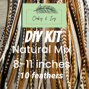 Feather Hair Extensions - 10 real feathers + beads and tool, 8-11 in. long, Natural mix hair feather extensions, DIY kit, hair feathers