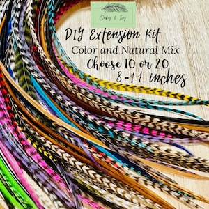 Feather Hair Extensions - 10 or 20 real feathers + beads and tool, 8-11 inches long, Natural and Colorful mix hair feathers extension kit