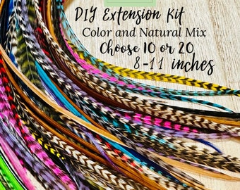 Feather Hair Extensions - 10 or 20 real feathers + beads and tool, 8-11 inches long, Natural and Colorful mix hair feathers extension kit
