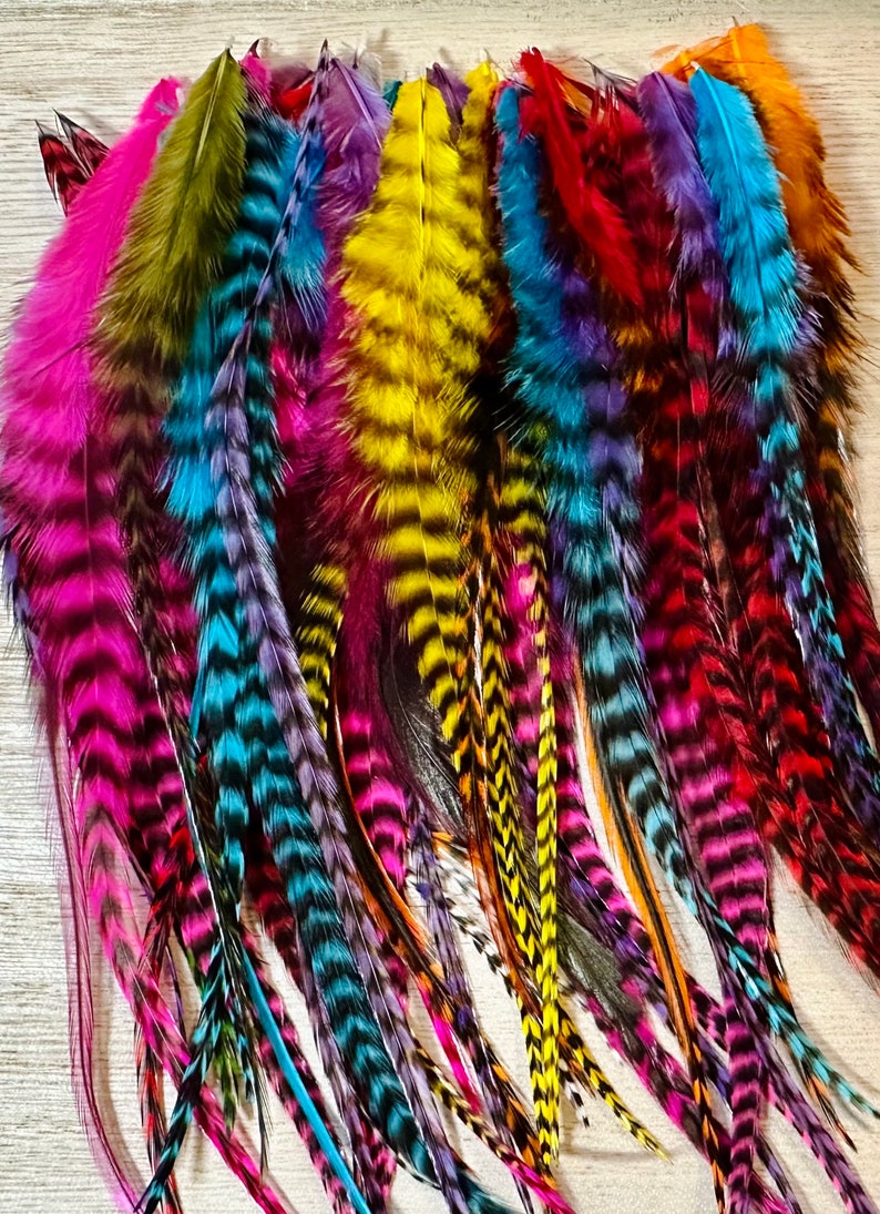 Feather Hair Extensions 10 Real Hair Feathers Beads and Tool, Medium/6