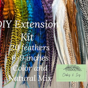 20 Feather Hair Extensions - Real feathers + beads +  tool DIY, 6-9 inches long, Natural and Colorful mix hair feathers extension kit, Med