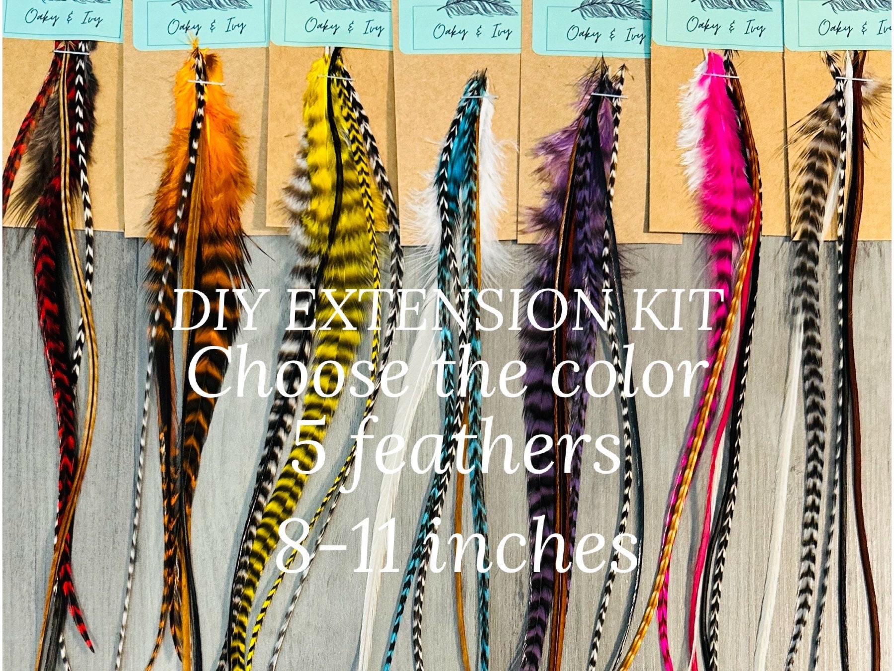 25 Feather Hair Extension DIY Kit with Beads, 1 Threader and Instructions. Surprise Mix of Natural Colored 8-12 Feather Extensions.