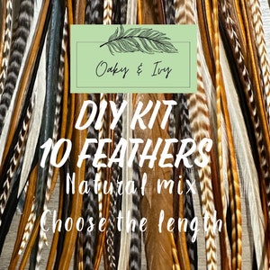 Feather Hair Extensions DIY kit -10 feathers + beads + tool/Natural Mix hair feathers/hair feather extension/choose length-Short/Med/Long/XL
