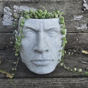 &quot;Dwayne &quot;&quot;The Pot&quot;&quot; Johnson Pflanzer.&quot;