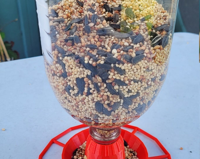 Soda Bottle Bird Feeder