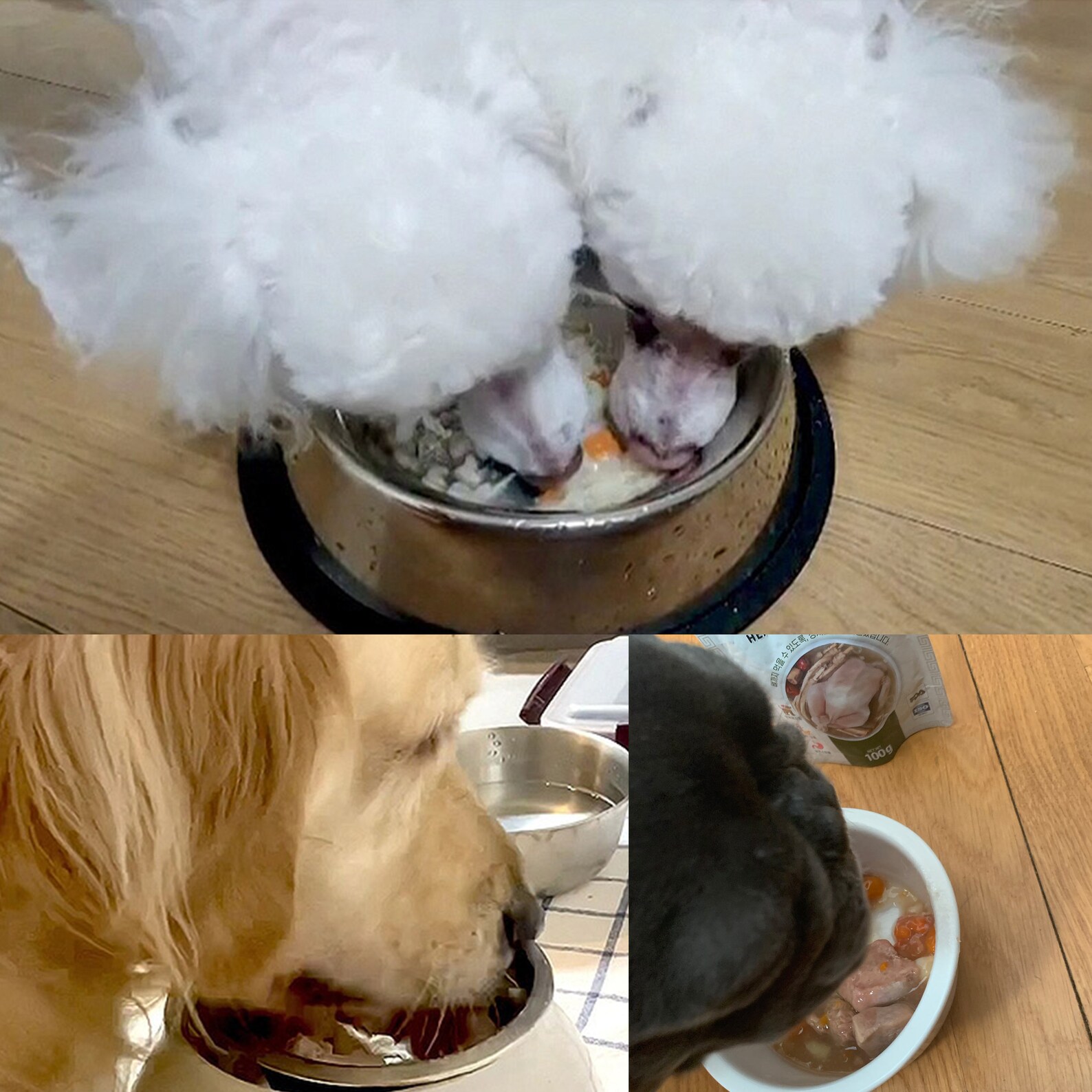 Natural dog healthy stew / soup Slow cooked with real Etsy