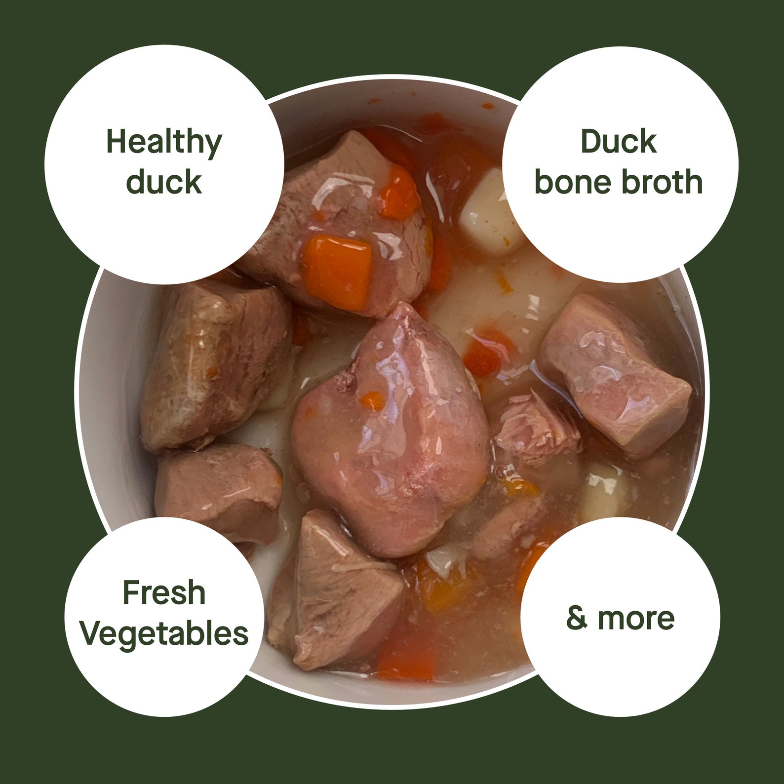 Natural dog healthy stew / soup Slow cooked with real Etsy