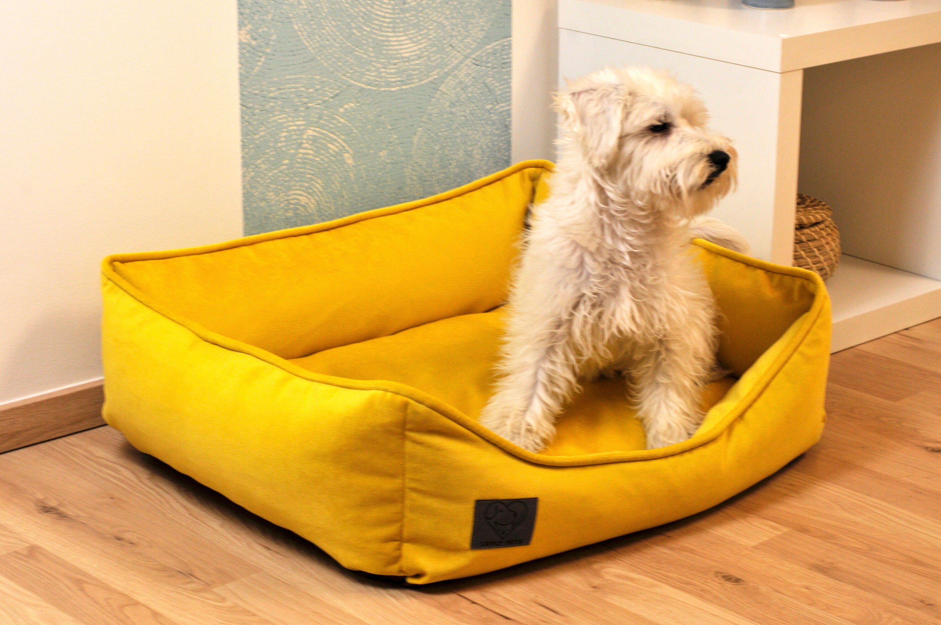 LUVLY Yellow Dog Bed Memory Foam Pillow Dog Bed Washable and Etsy