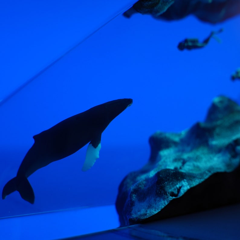 Humpback Whale Resin Wood Night Light