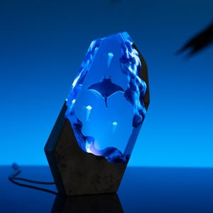 Mantarochen Qualle Nachtlicht, Harz Holz Lampe, Blauer Ozean Miniatur, Wohnkultur einzigartiges Geschenk, Kinder Geschenk, Schulanfang Geschenke für das Personal