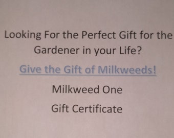 Gift Certificate for four (4) Milkweed plants.  Never Expires!