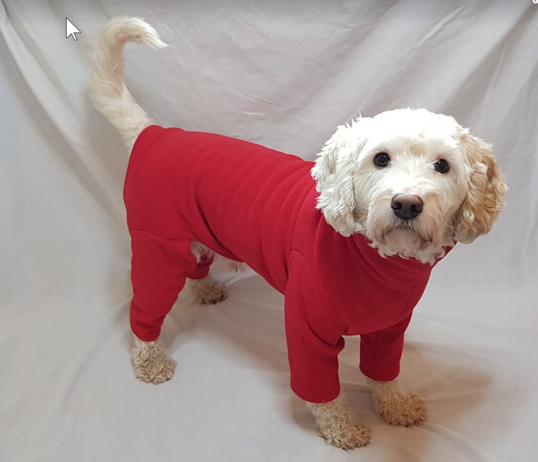Polar Fleece Dog Suit Embroidered With or Without Name Red Etsy UK