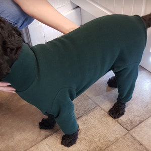 Polar Fleece Dog Suit, Embroidered With or Without Name - Fir Green - Custom made to fit your dog