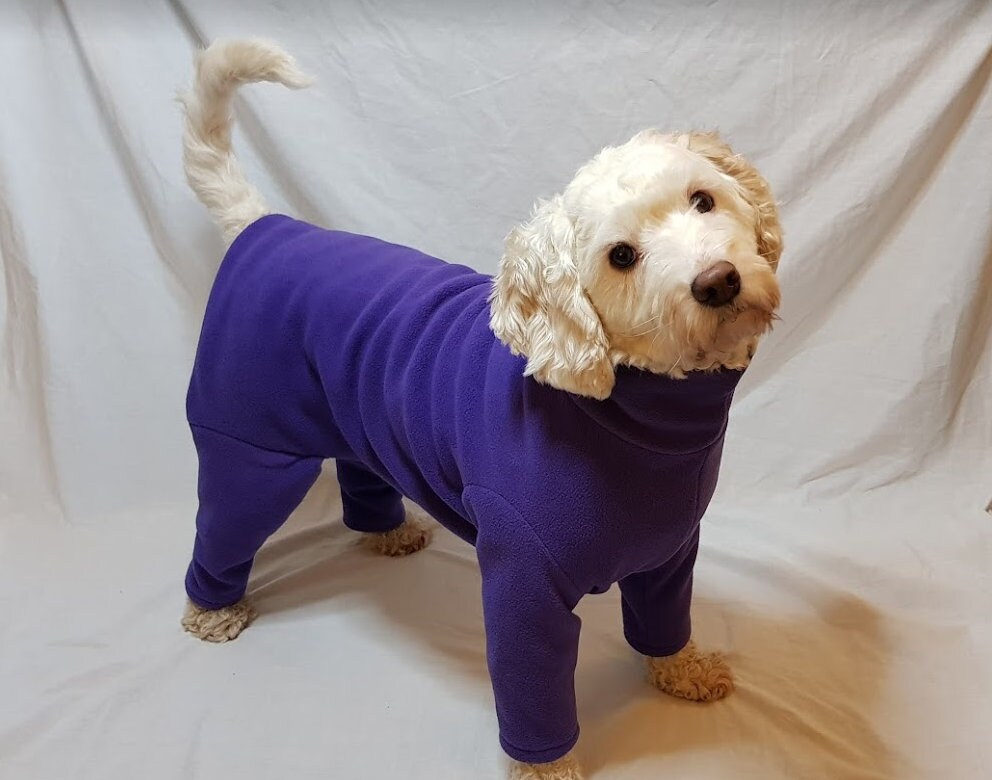 Polar Fleece Dog Suit Embroidered With or Without Name Etsy UK