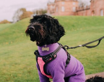 custom made dog coats