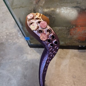 Octopus Leg Frag Shelf Stand – Magnetic | Strong Hold | High-Quality Reef-Safe PETG Design