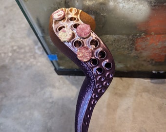 Octopus Leg Coral Frag Shelf – Magnetic Reef Tank PETG Stand