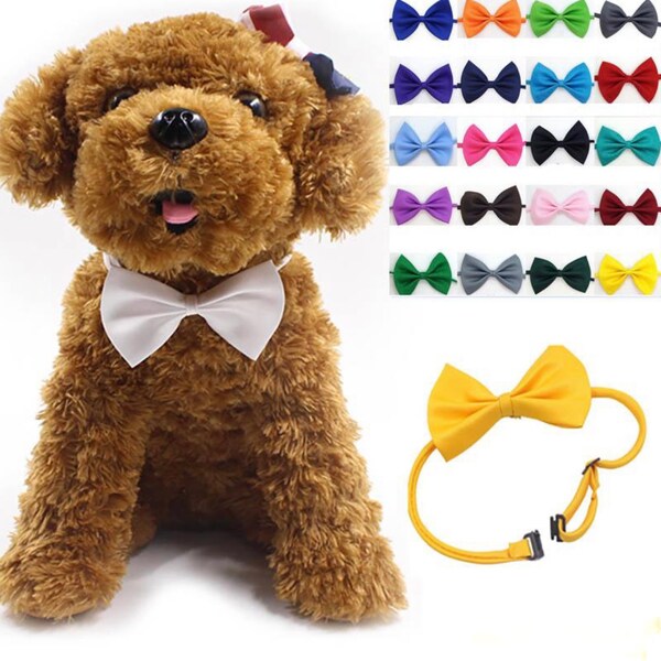 Plain Pet Bow Tie and Collar That Can Be Adjusted for your Dog or Cat