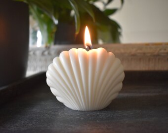 Clam Shell Decor Etsy