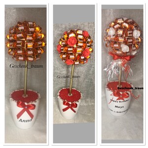 chocolate tree image 7