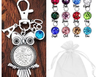 1964 LUCKY SIXPENCE, 60th Birthday Gift, Owl Keyring, Birthstone, 60th Keepsake, Choice of Letter and Number Charm, Gift Bag