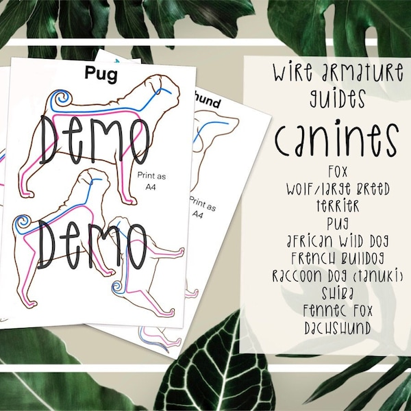 Felting Armature Guide - Canines