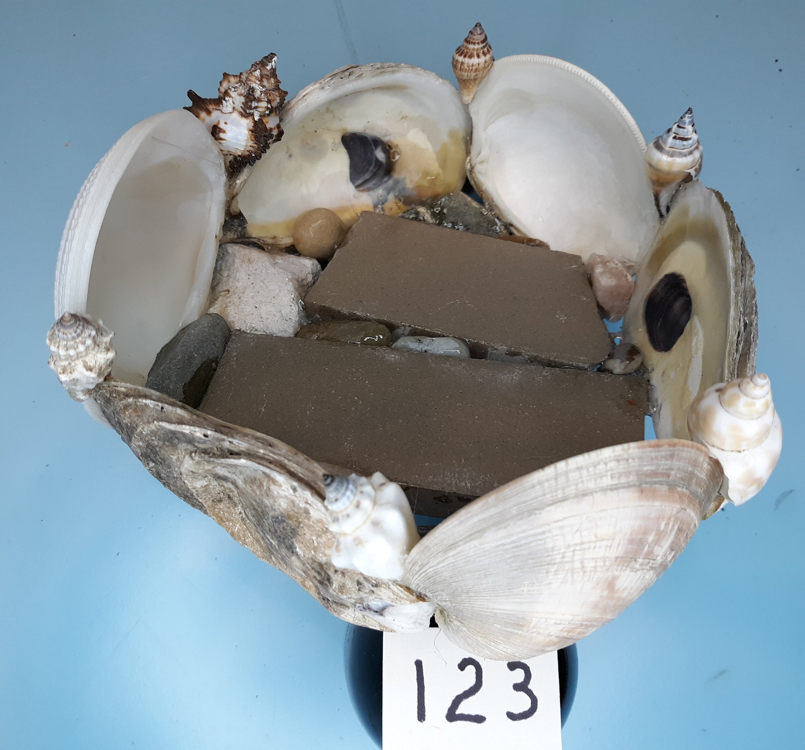 Handgefertigte 6Shell Muschel Pflanzer für Fee Garten Etsy