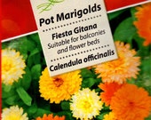 2 packs Pot Marigold FIESTA GITANA (Calendula) 1.4g 40 Flower Seeds For pots borders