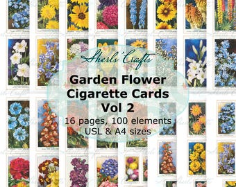 Zigarettenbilder mit Gartenblumen, Band 2 | Wills Zigarettenserie (50 Stück) | Richard Sudell Serie – A4- und US-Letter-Format