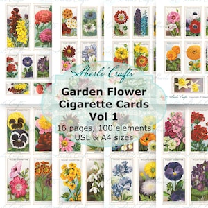 will cigarette cards Wills Cigarette Card
