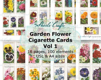 Zigarettenbilder mit Gartenblumen, Band 1 | Wills Zigarettenserie, 50 Stück | Restaurierte Aquarell-Blumenmotive – A4- und US-Letter-Format