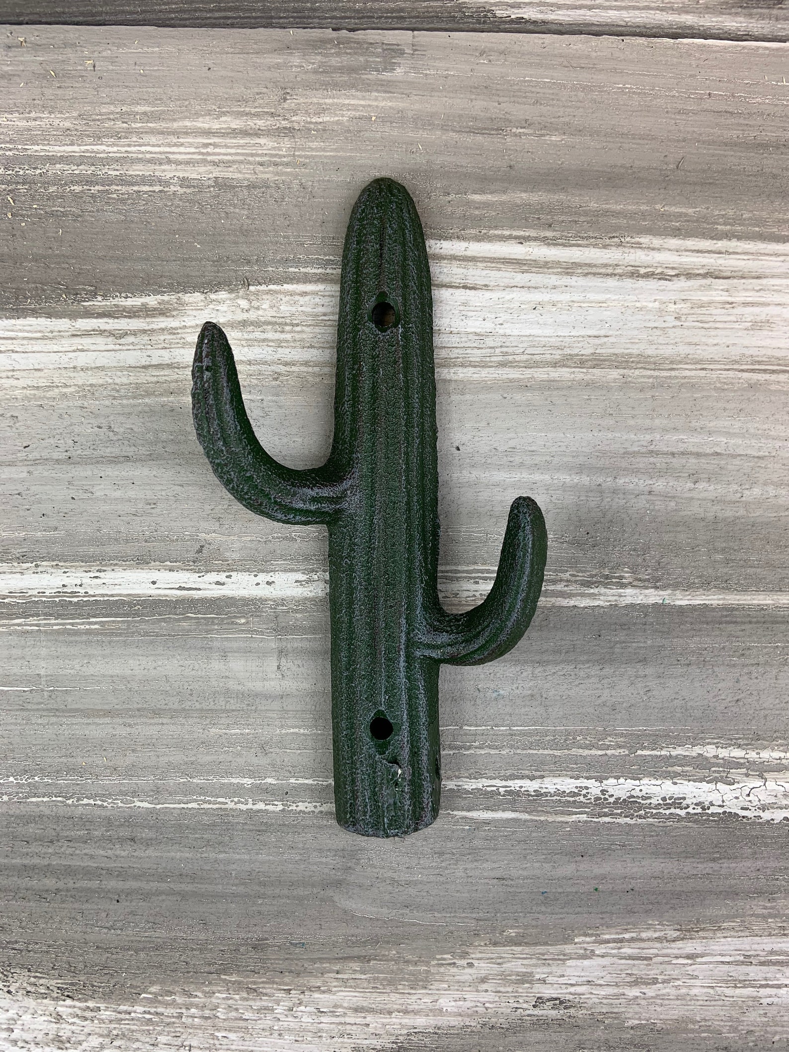 Cast iron cactus hook hook coat hook wall hook coat Etsy