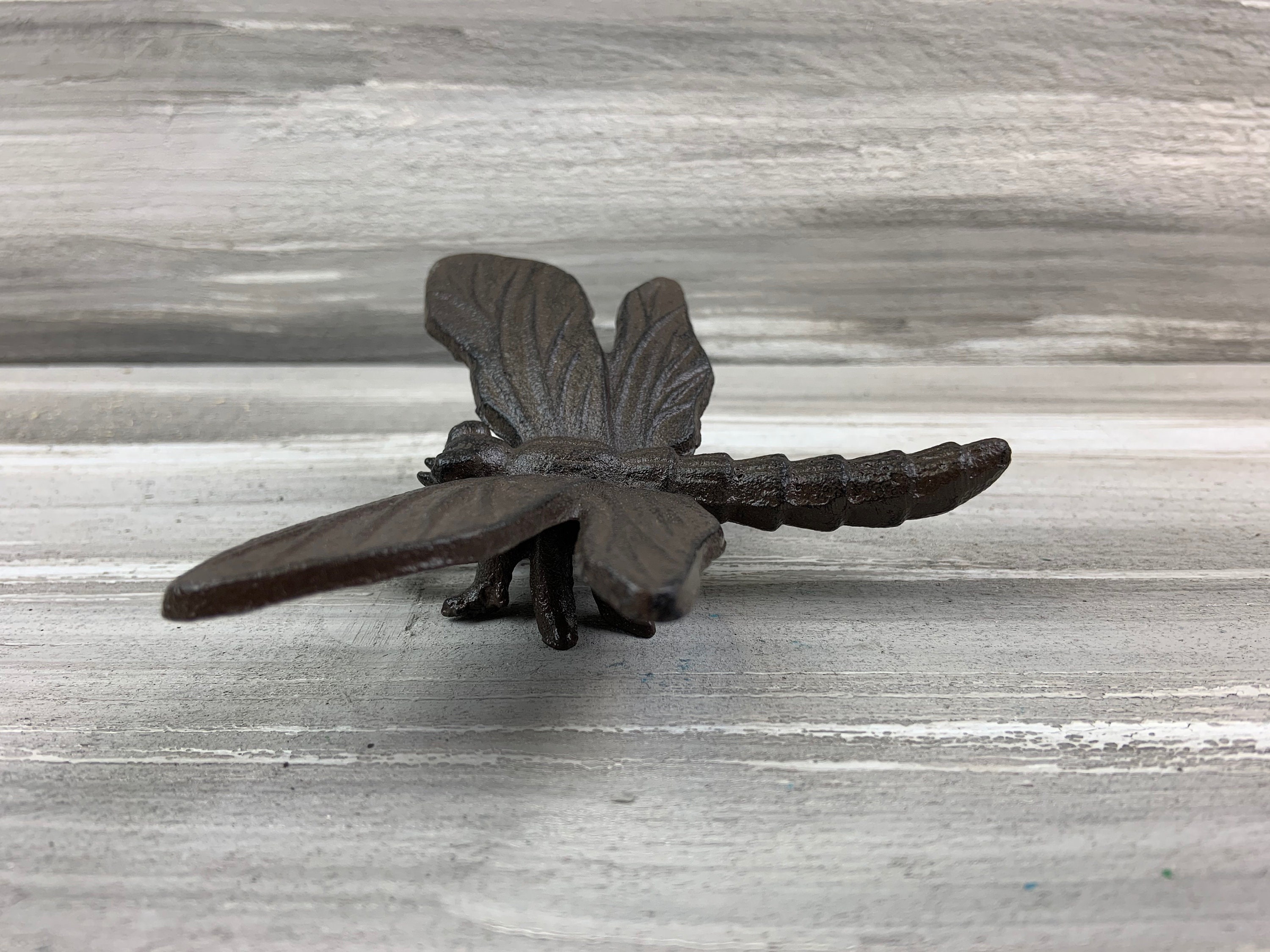 Cast Iron Dragonfly Wall Decor Insect Decor Garden Decor Etsy
