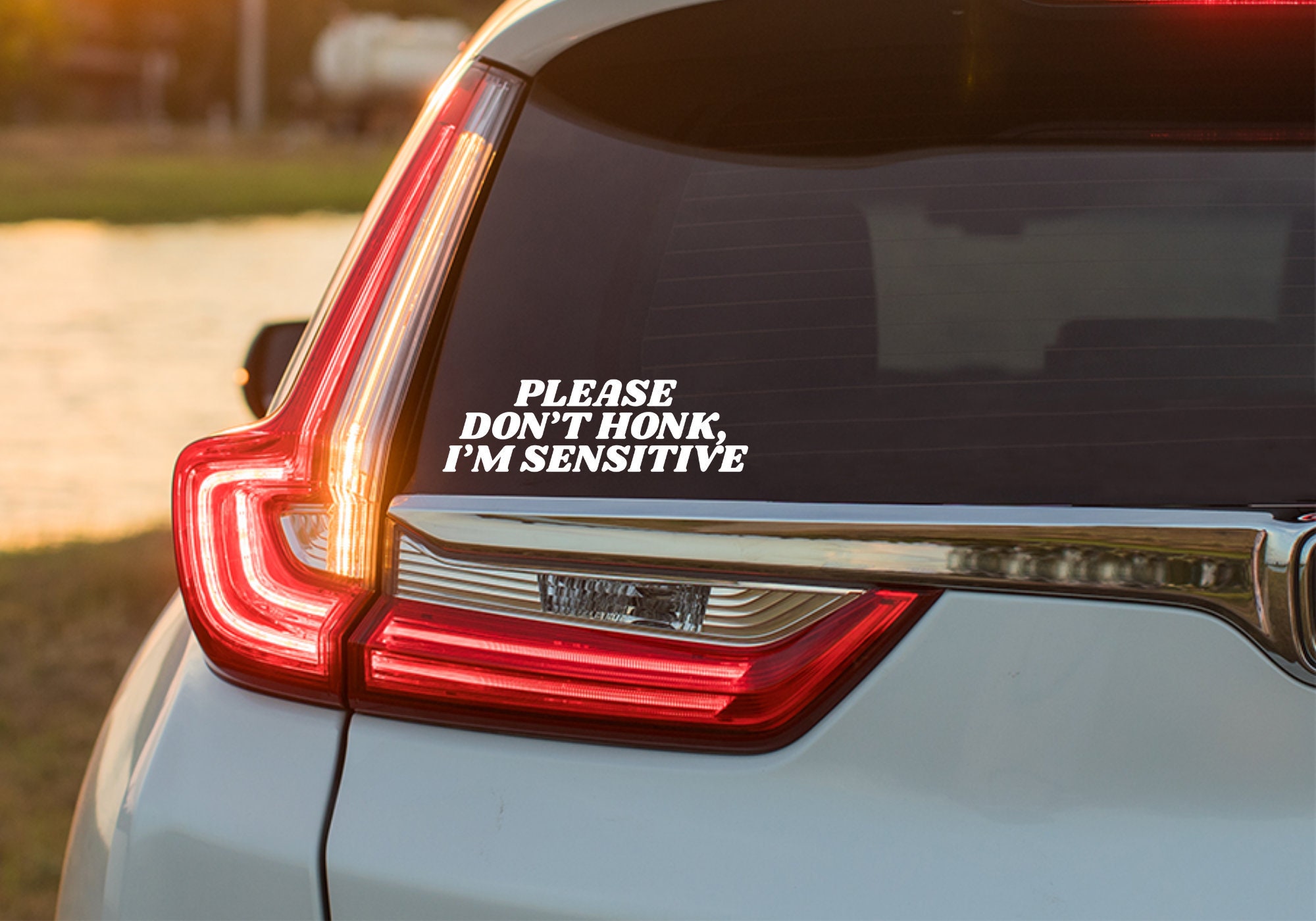 Please Don't Honk at Me Car Decal, Funny Car Decal, I'm Sensitive Decal, Trendy Car Decal, Don't Honk I'm Having a Crisis Decal