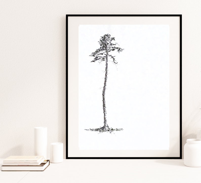 Original Pine Tree Charcoal Drawing Abstract Nature Wall Art Etsy